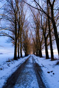 Winter slovakia nature