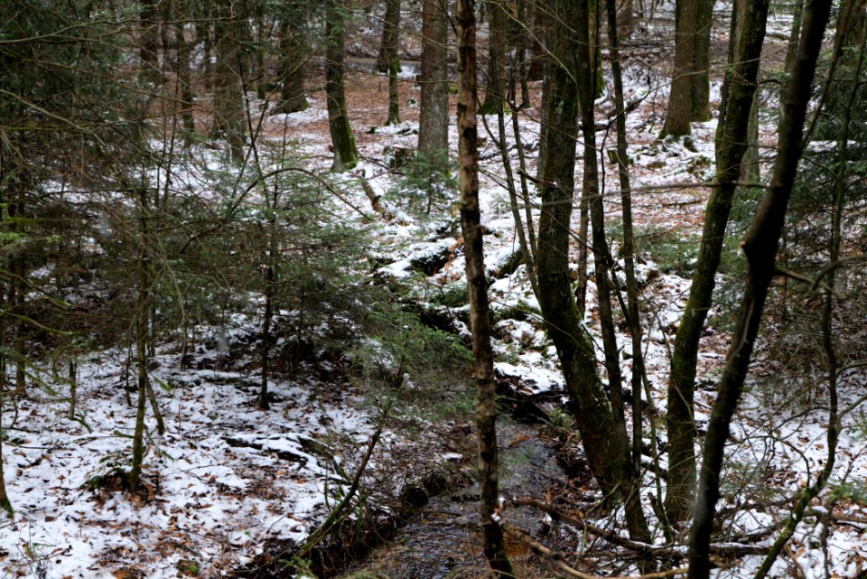 Kaltes Wasser Taunus 2021-04-06 03