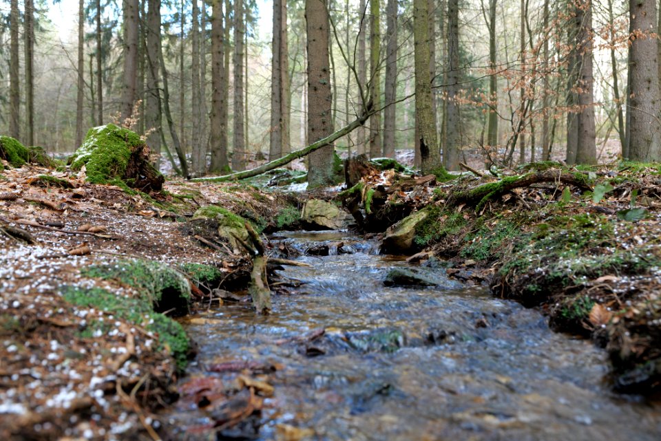 Kaltes Wasser Taunus 2021-04-06 06