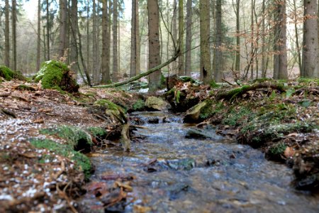 Kaltes Wasser Taunus 2021-04-06 06