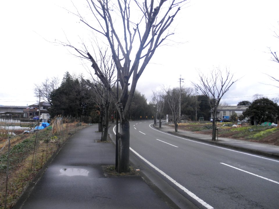 Kako Inamitown Hyogopref Hyogoprefectural road 65 Kobe Kakogawa Himeji line No,9