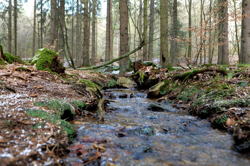 Kaltes Wasser Taunus 2021-04-06 07