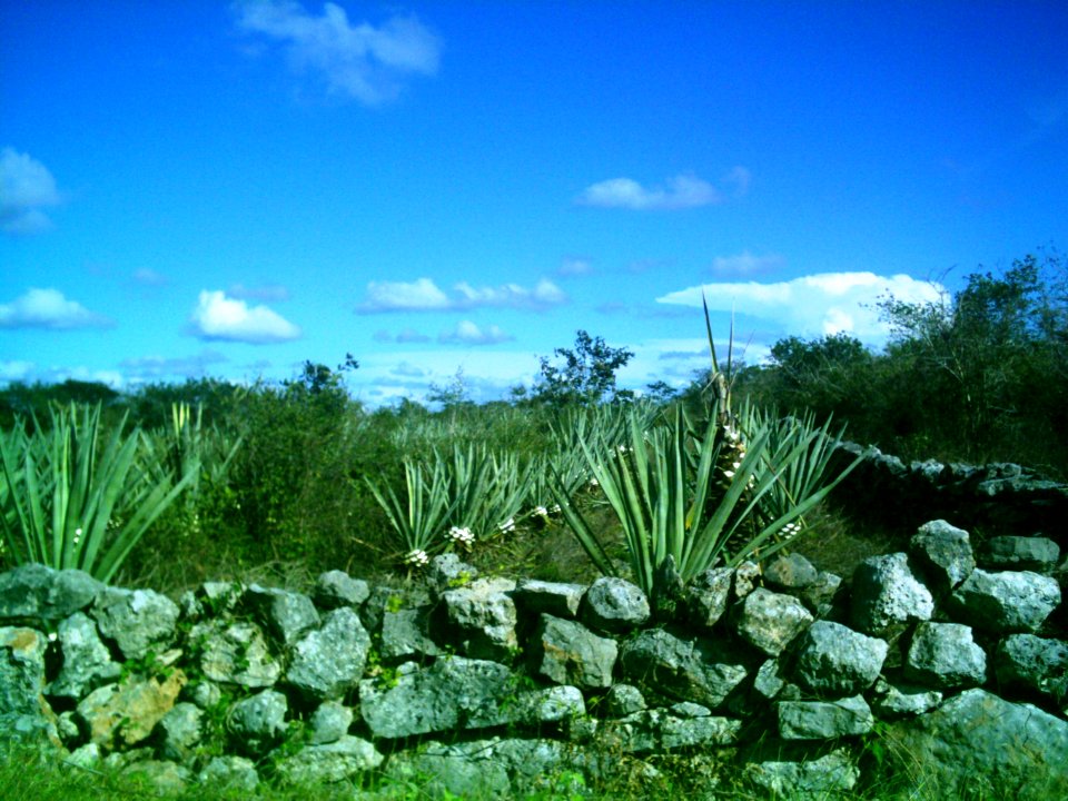 Kankabchén (Tixkokob), Yucatán (16)