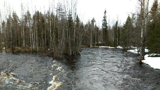 Kalliuskoski rapids 3