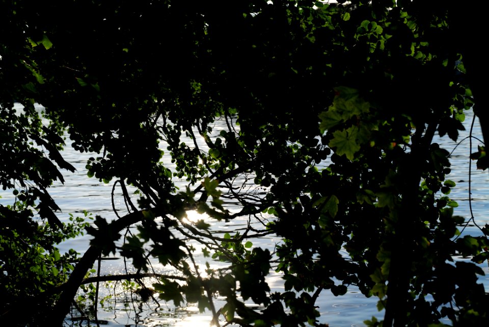 Kalksee Rüdersdorf 2020-08-05 05