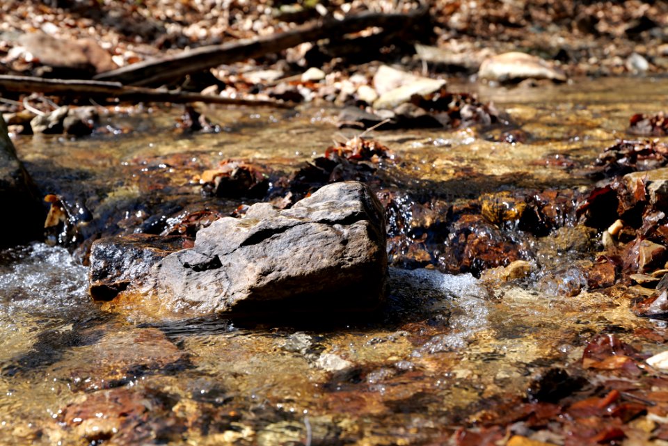 Kaltes Wasser Taunus 2021-04-06 17