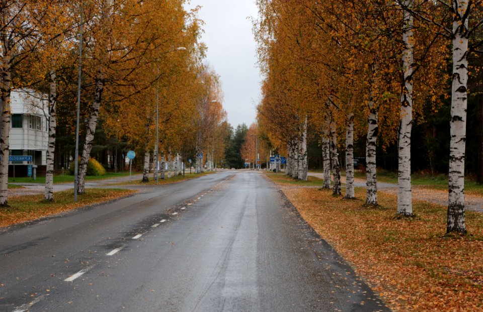 Kaitoväylä Oulu 20160925