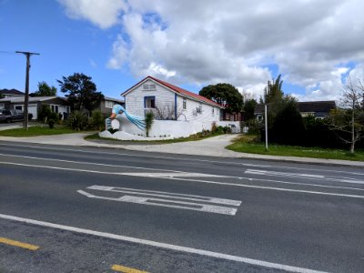 Kaiwaka seagull3