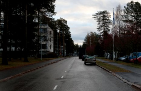 Kaislatie Oulu 20171112