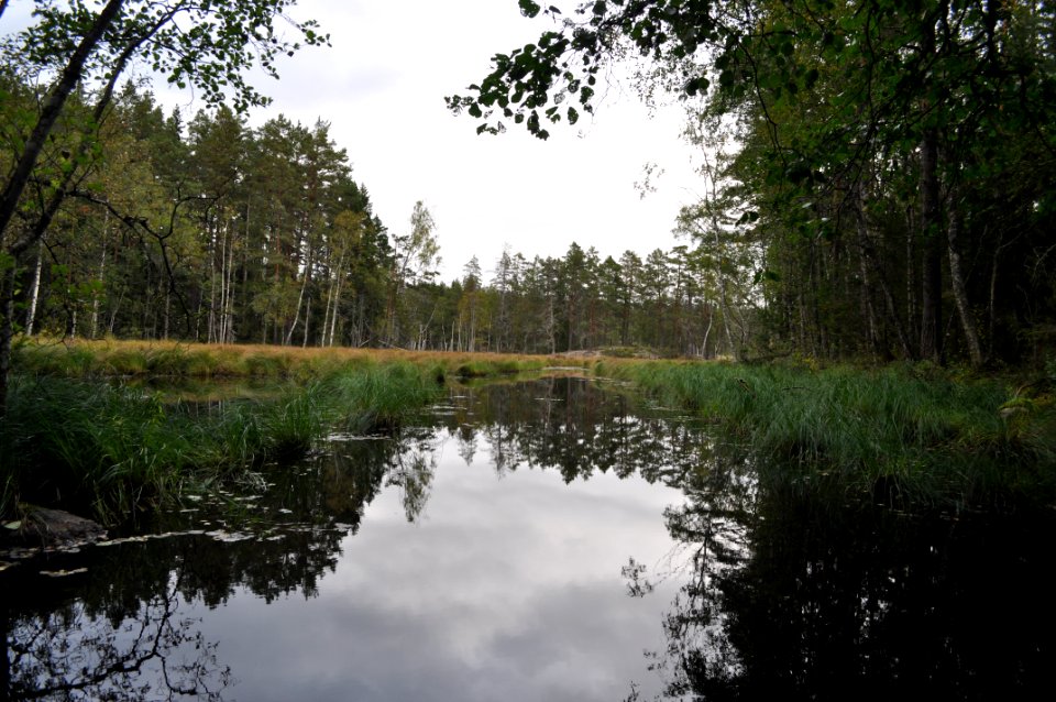 Kalkbro - mot Dammsjön