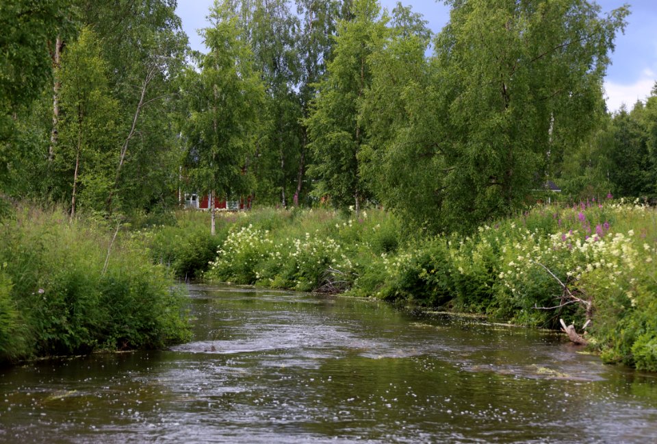 Kalimeenoja Oulu 20170721