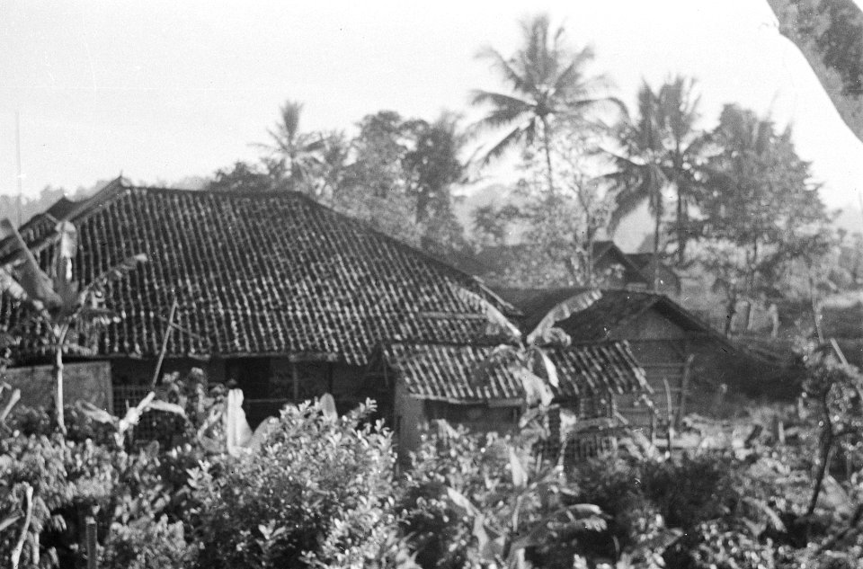 Kampong. Daken van huizen en palmbomen, Bestanddeelnr 1588-4-5