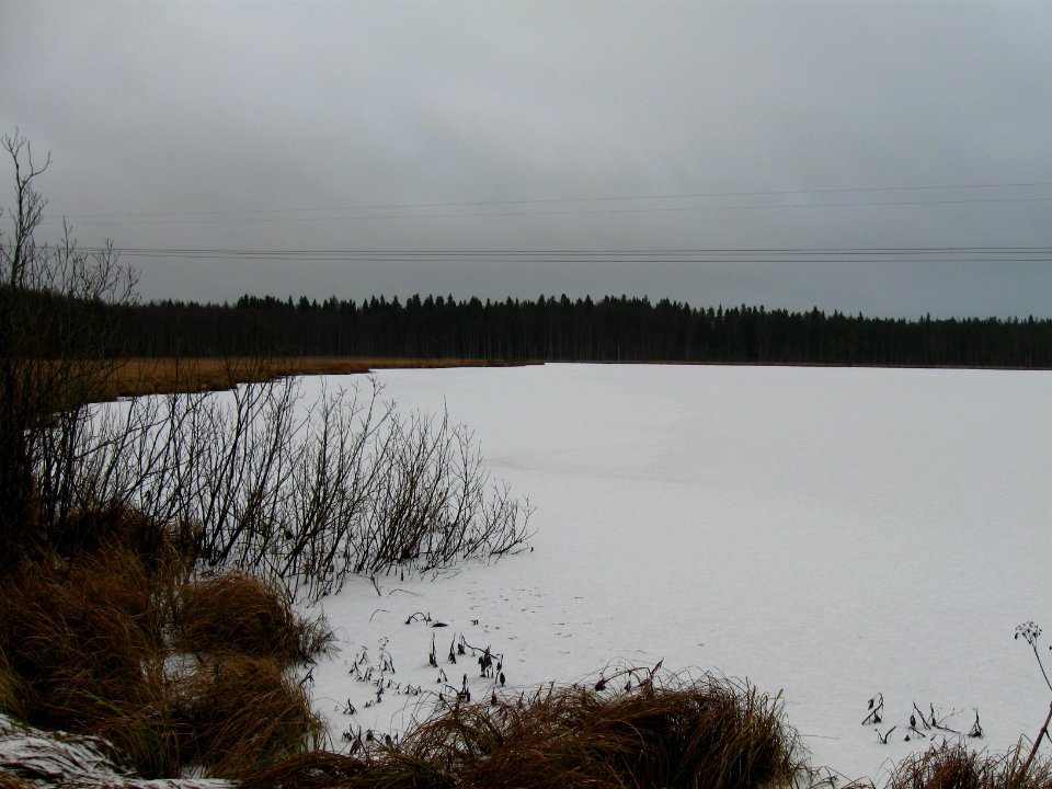 Kalikkalampi Oulu