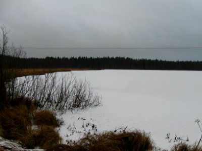 Kalikkalampi Oulu