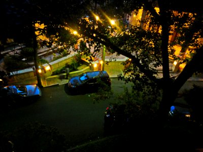 Kamran Alley - Night - Tehran