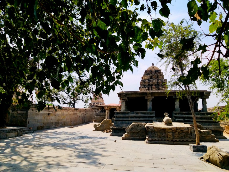 Kamakshi Vaidyanatha Temple, Pushpagiri, Andhra Pradesh India - 03