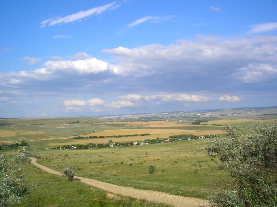 Kamyshinka 3