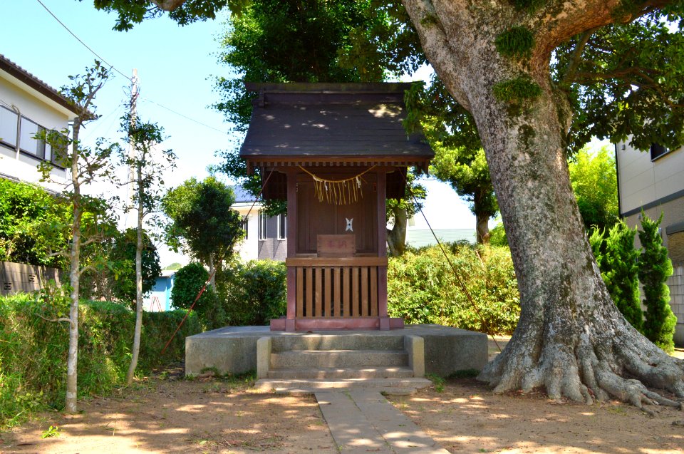 Kamatari-jinja honden