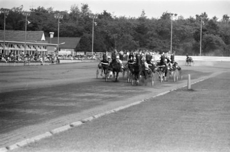 Kampioenschap Nederlandse paarden te Hilversum, jockey J Wagenaar jr, Bestanddeelnr 925-7419