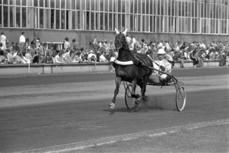 Kampioenschap Nederlandse paarden te Hilversum, 17A Florissant, jockey Leeuwenka, Bestanddeelnr 925-7422