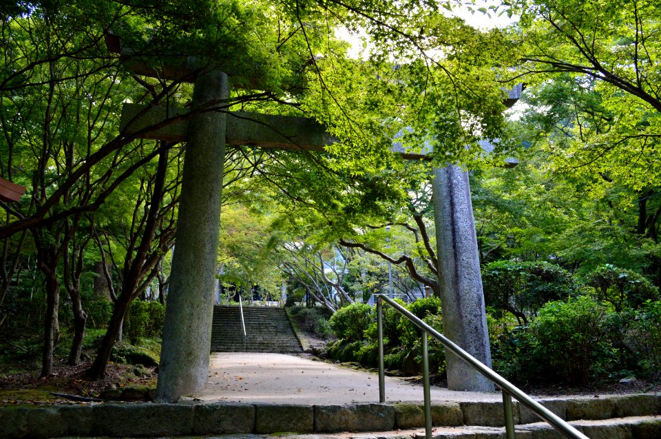 Kamado-jinja torii-3
