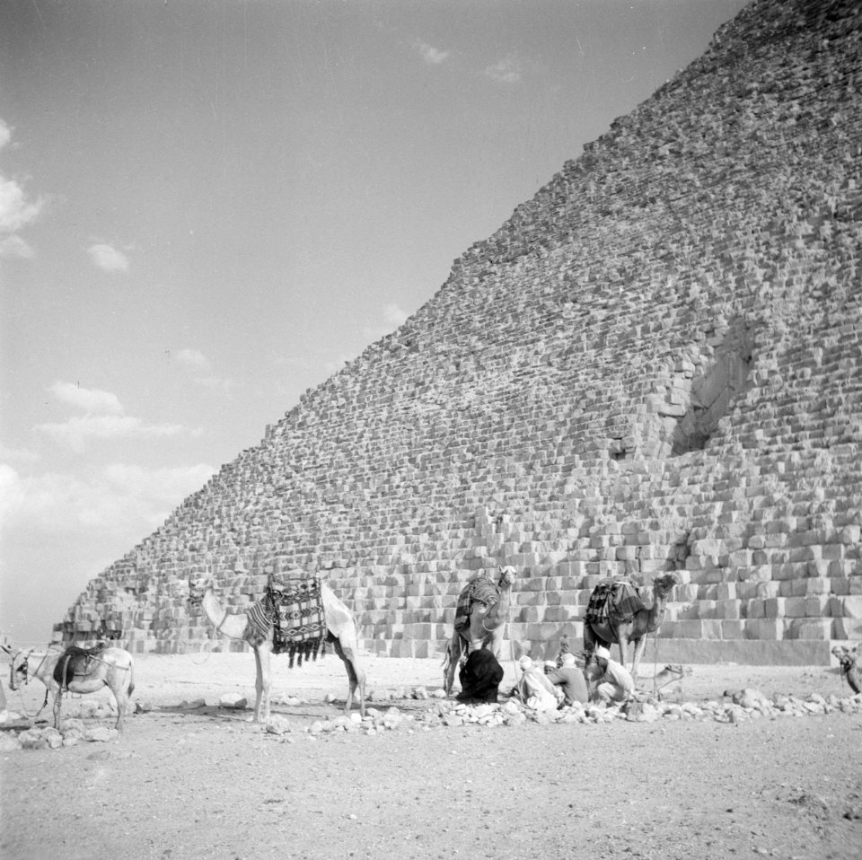 Kamelen en gidsen aan de voet van de piramide van Gizeh, Bestanddeelnr 255-6604