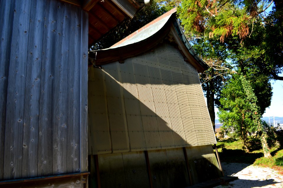 Kanajiki-jinja, honden