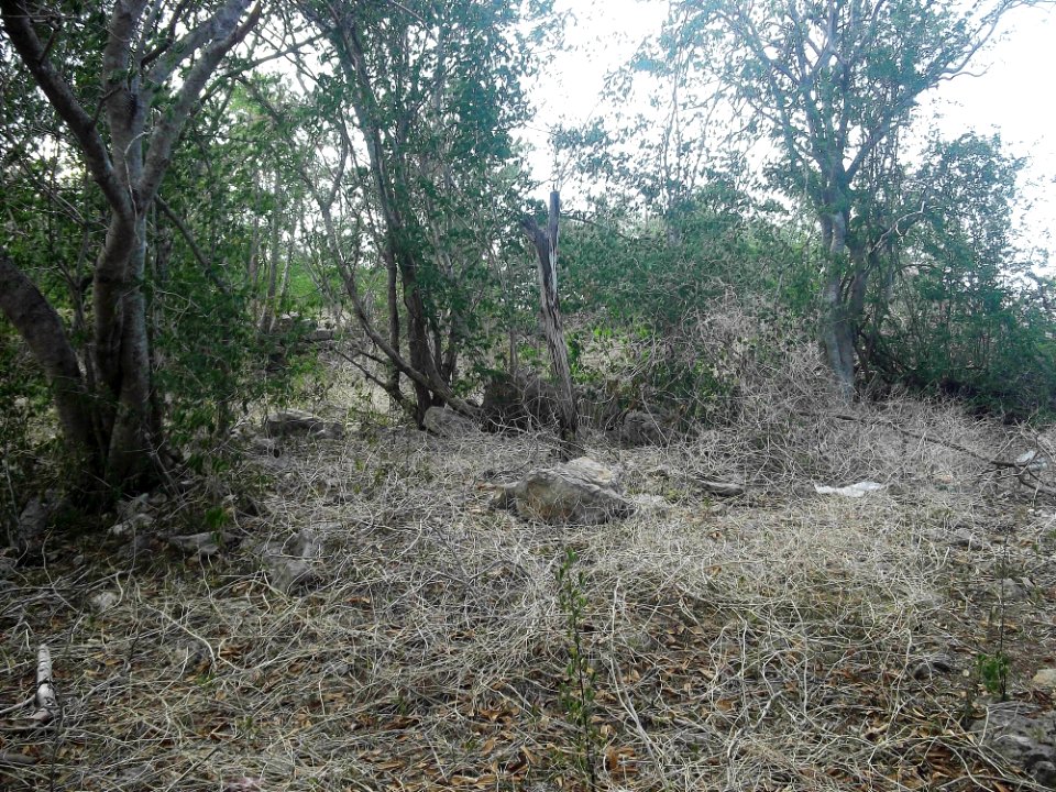 Kalax (Mérida), Yucatán (17)
