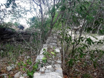 Kalax (Mérida), Yucatán (16)