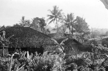 Kampong Daken van huizen en palmbomen, Bestanddeelnr 1588-4-6