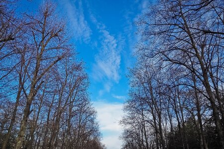 Nature landscape mood photo