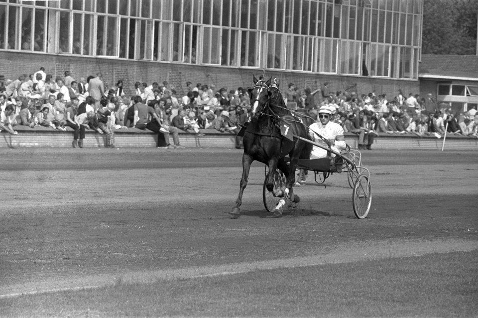 Kampioenschap Nederlandse paarden te Hilversum, Bestanddeelnr 925-7423