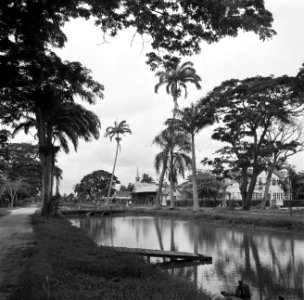 Kanaal in Nieuw-Nickerie, Bestanddeelnr 252-5421