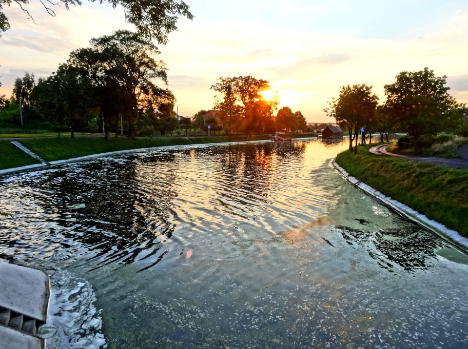 Kanal Notecki Lochowo 7a 07-2014