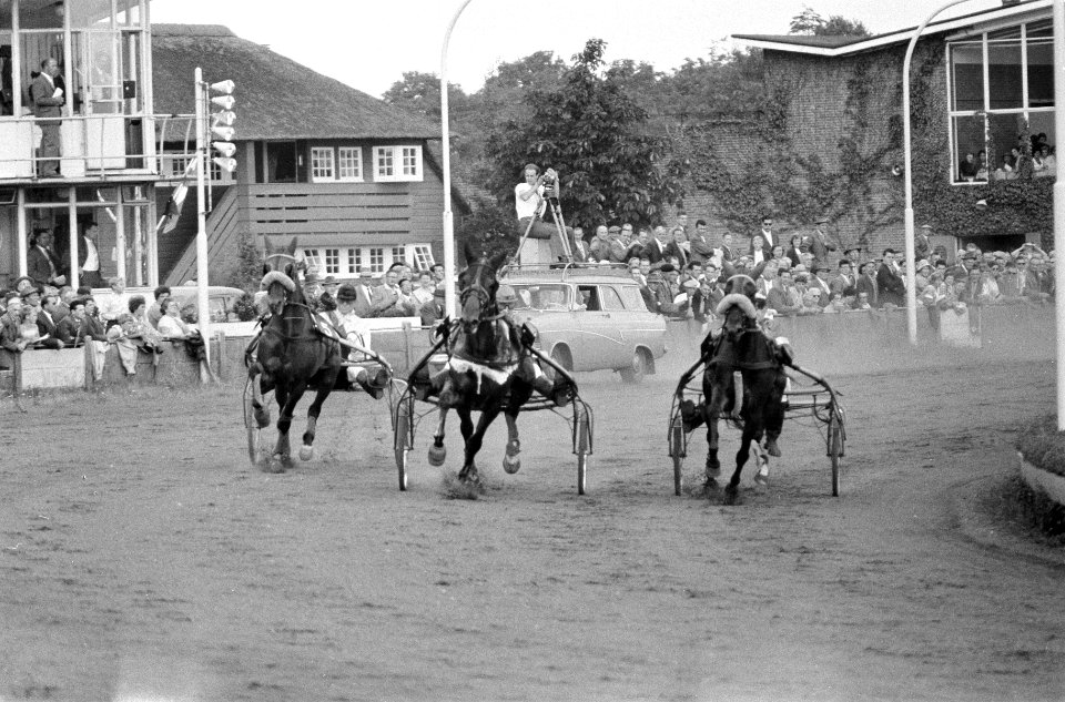 Kampioenschap van Nederland, draven te Hilversum, Theo Messidor eerste, Sammy Ma, Bestanddeelnr 911-4994