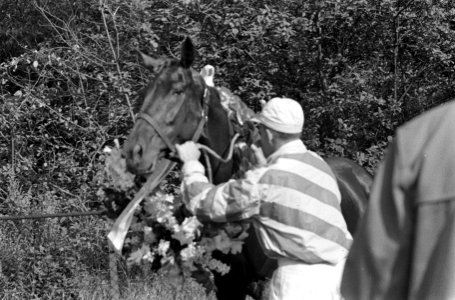 Kampioenschap van Nederland, draven te Hilversum, Huldiging Theo Messidor met zi, Bestanddeelnr 911-4995