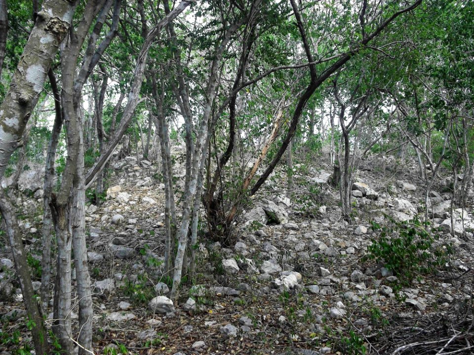 Kalax (Mérida), Yucatán (12)