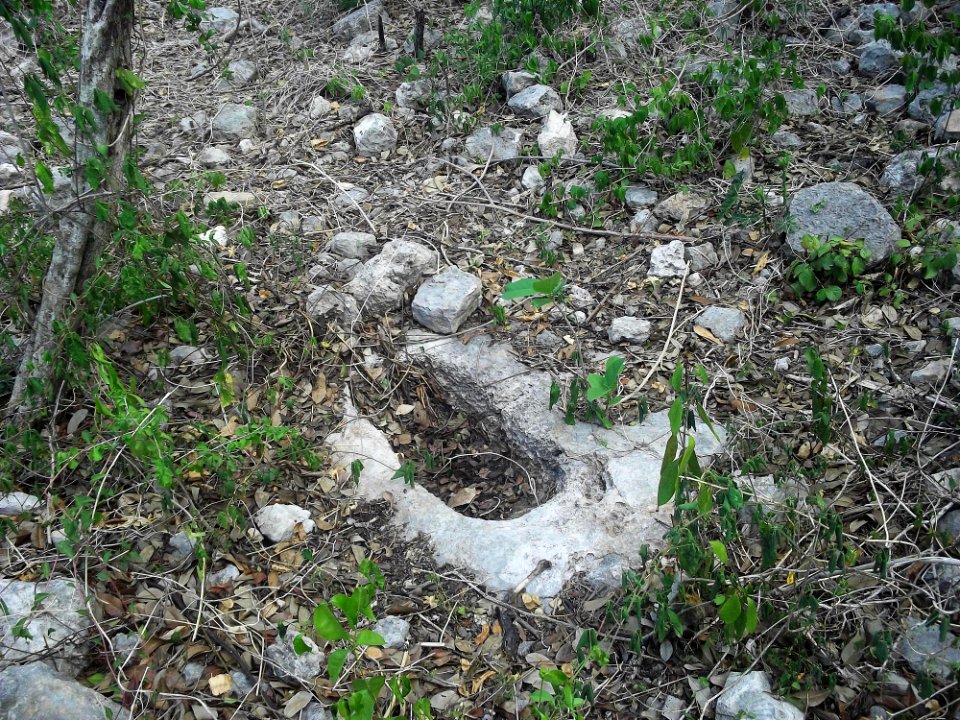 Kalax (Mérida), Yucatán (14)