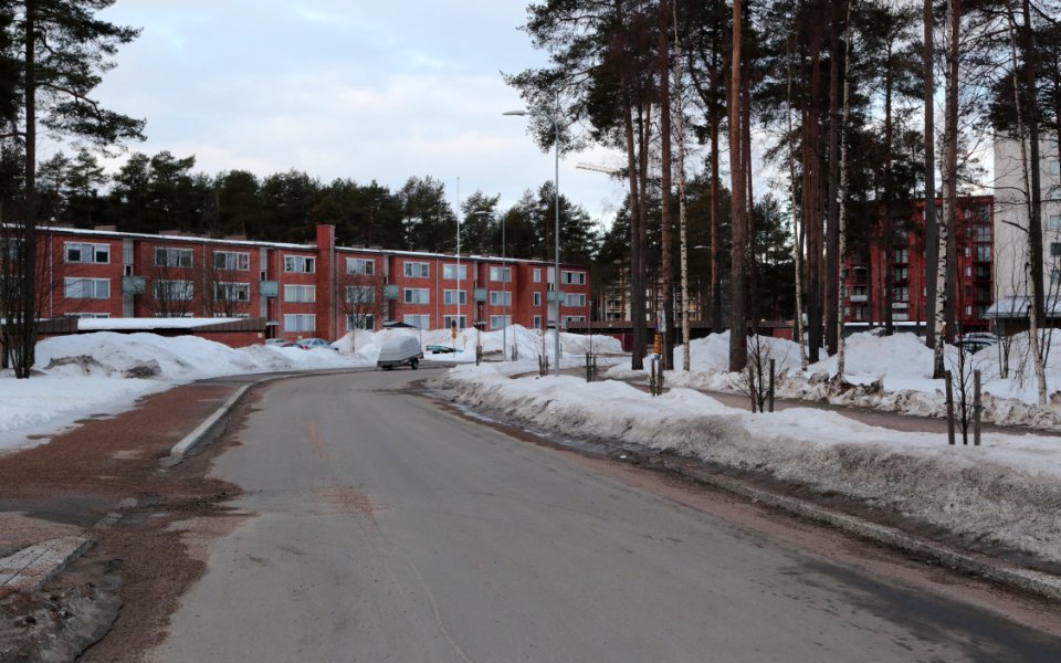 Kanahaukantie Oulu 20210402