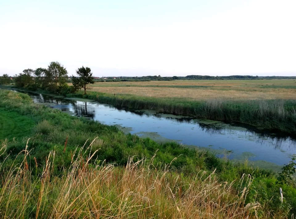 Kanal Notecki Lochowo 12 07-2014