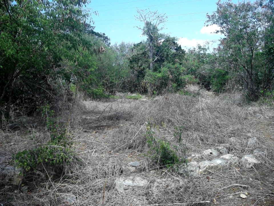 Kalax (Mérida), Yucatán (09)
