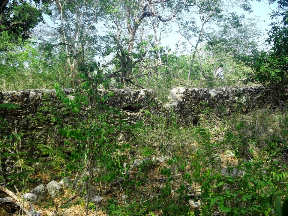 Kalax (Mérida), Yucatán (04)
