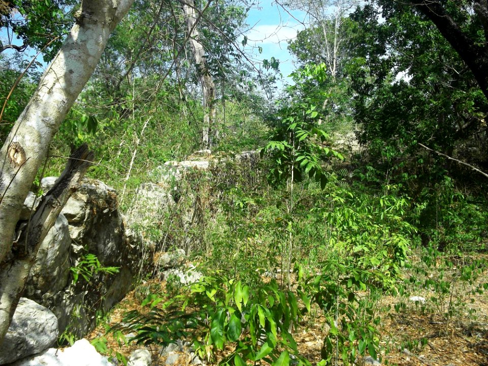 Kalax (Mérida), Yucatán (03)