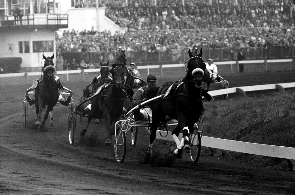 Kampioenschap van Nederland voor dravers, Bestanddeelnr 912-9613