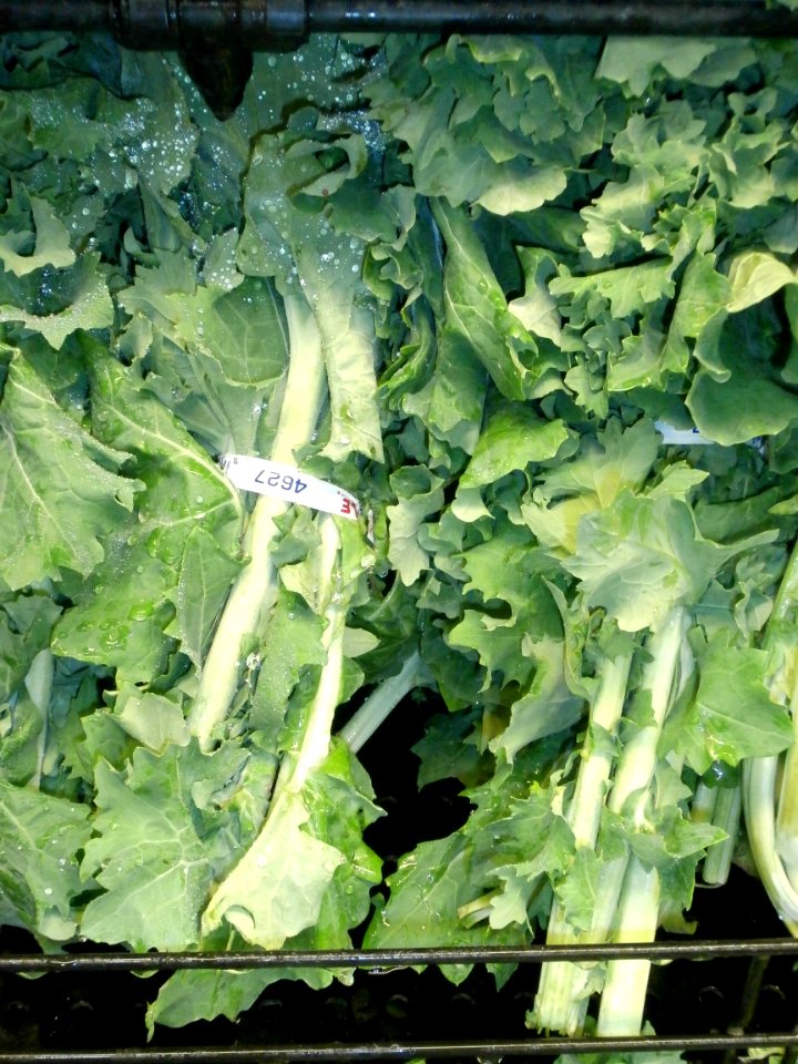 Kale greens in bunches