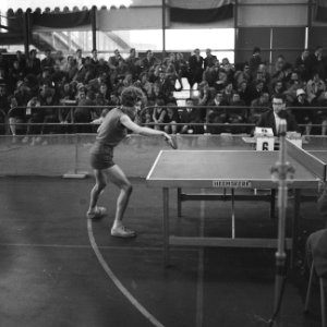 Kampioenschap Tafeltennis in de Energiehal te Rotterdam, Bestanddeelnr 912-3252