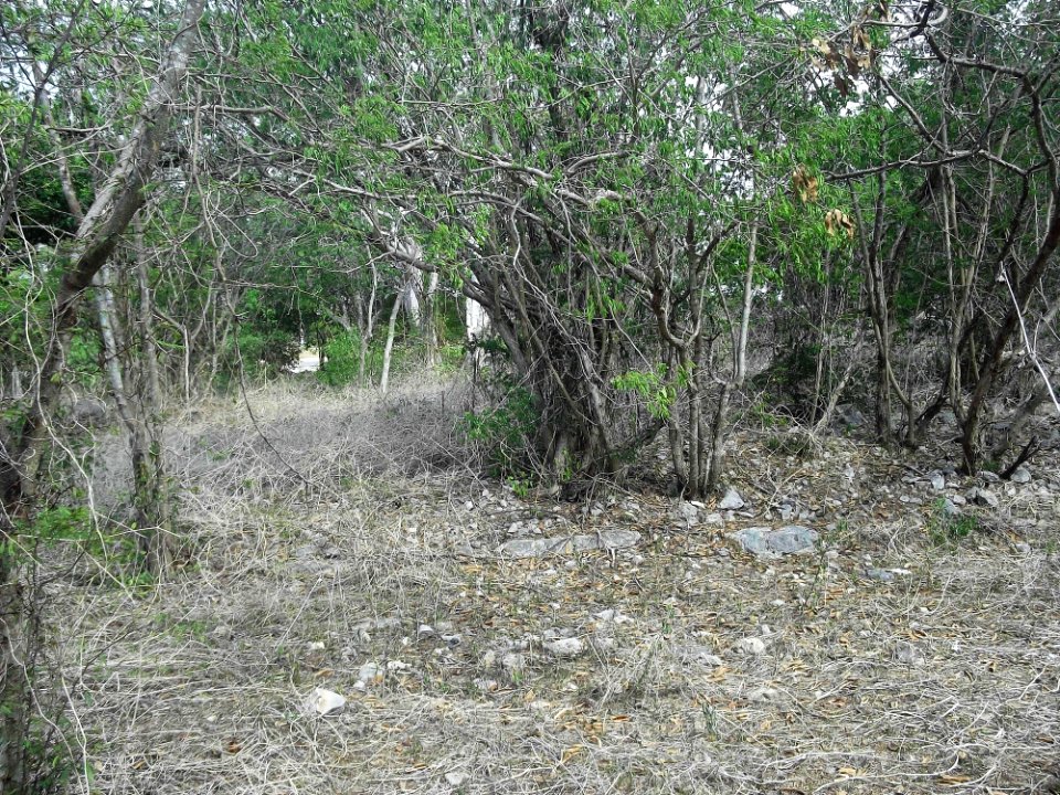 Kalax (Mérida), Yucatán (10)