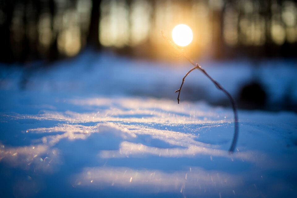 Snowy cold nature