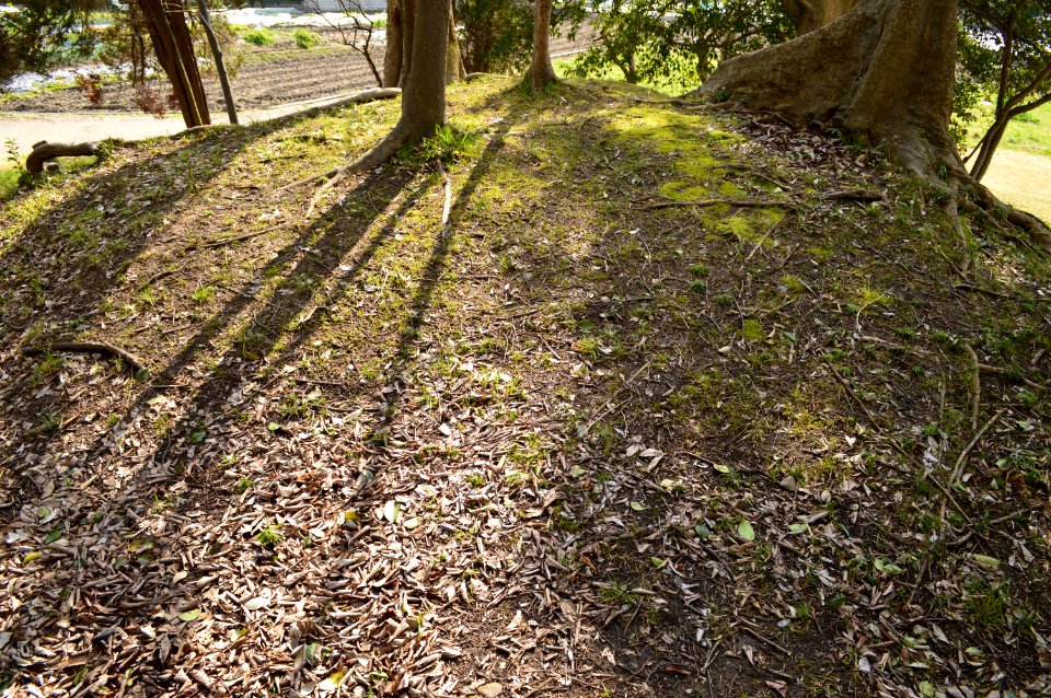 Kamezuka Kofun (Yasu), funcho