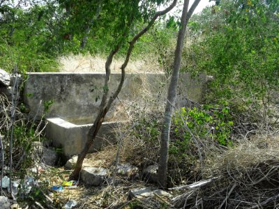 Kalax (Mérida), Yucatán (19)